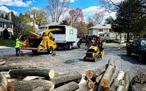 Best Arborist Consultation Services  in Rensselaer, NY