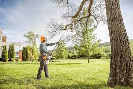 Best Storm Damage Tree Cleanup  in Rensselaer, NY