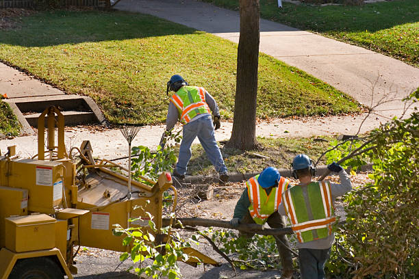 Best Soil Testing and Treatment  in Rensselaer, NY